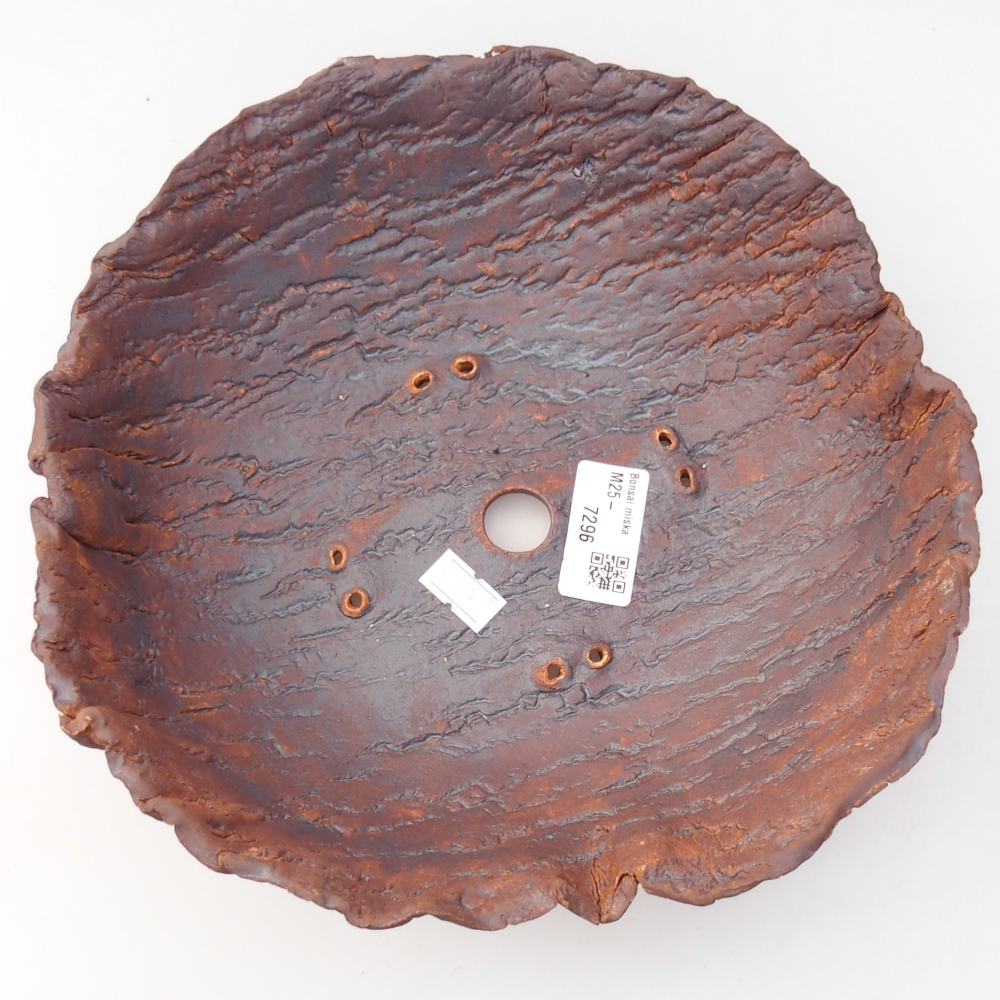 Ceramic Shell 23 x 23 x 7 cm , colour brown