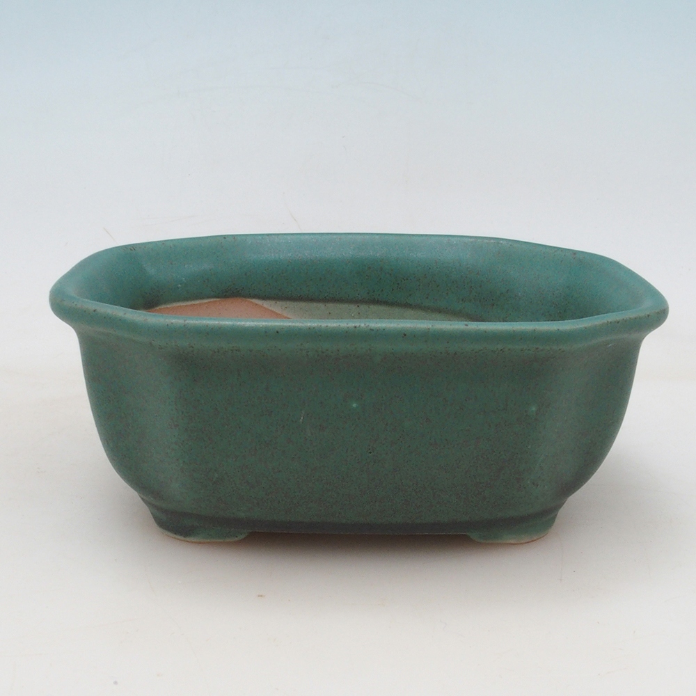 Bonsai bowl + saucer H31 - green