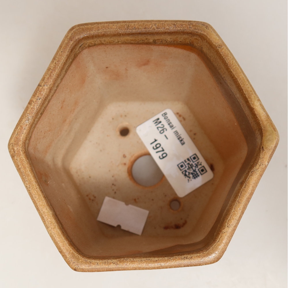 Ceramic bonsai pot, 9 x 8.5 x 8 cm, beige