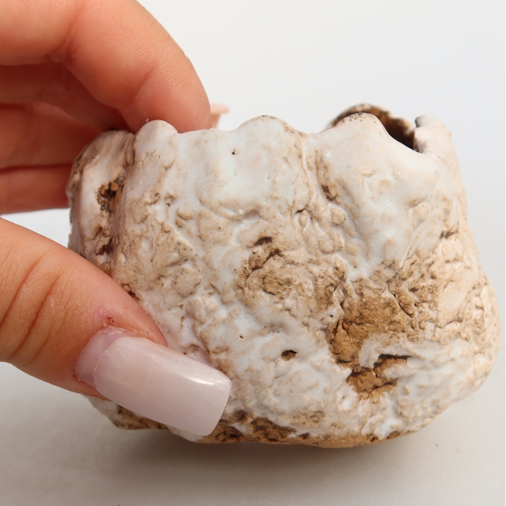 Ceramic Shell, 7 x 7 x 6 cm, white-brown
