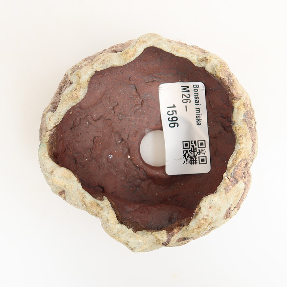 Ceramic Shell  6.5 x 6.5 x 5.5 cm, green