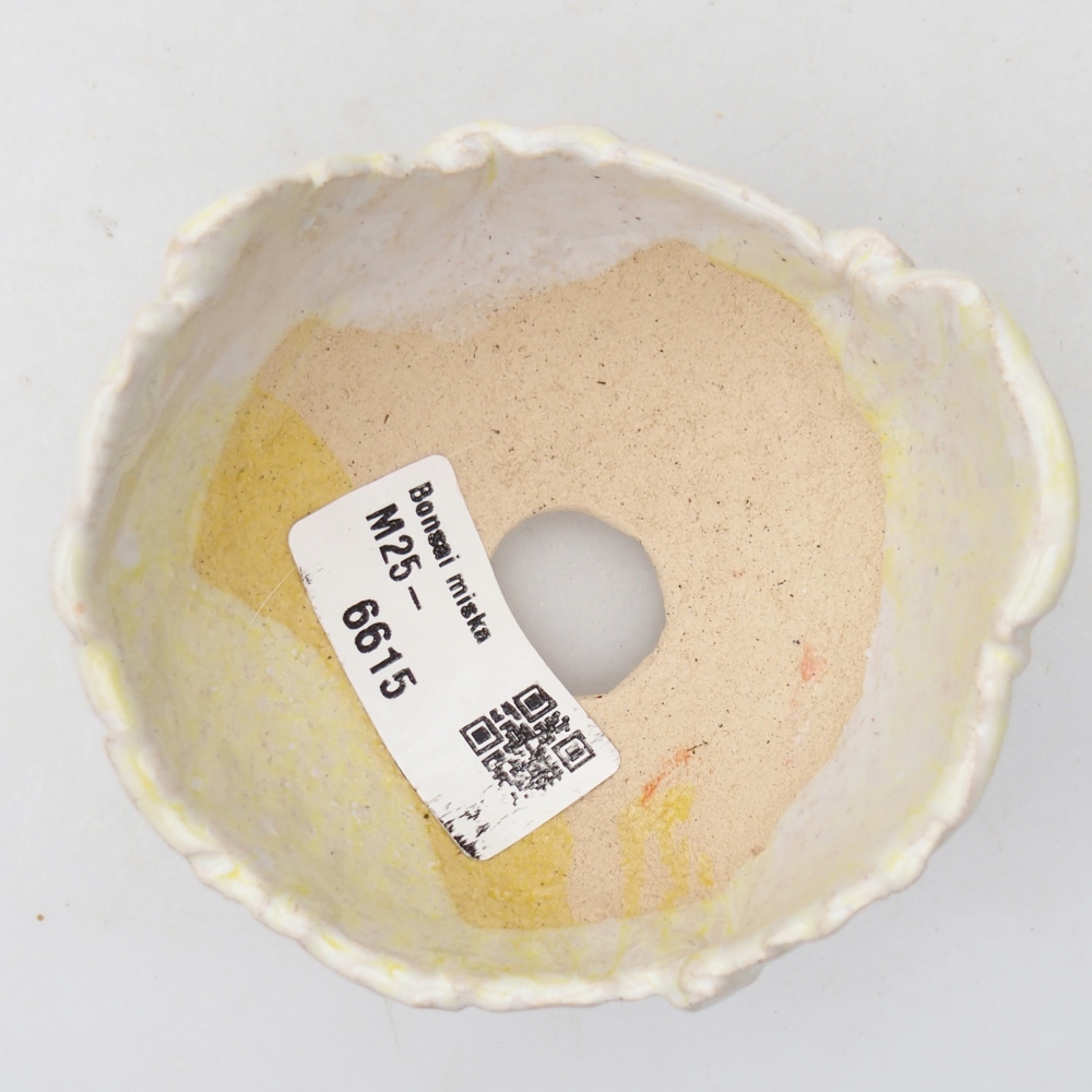 Ceramic shell 8 x 8 x 5 cm , colour green