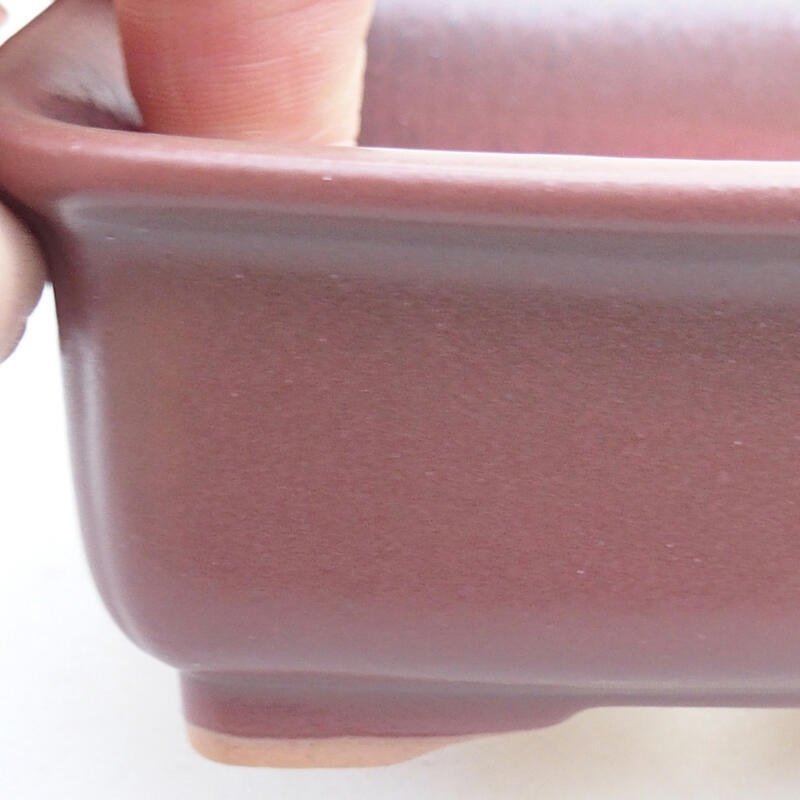 Ceramic bonsai bowl 12 x 9.5 x 4.5 cm, burgundy color