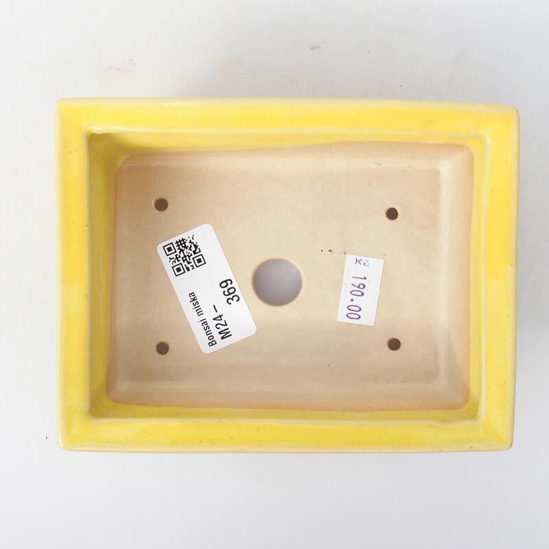 Ceramic bonsai bowl 13 x 10 x 3.5 cm, color yellow
