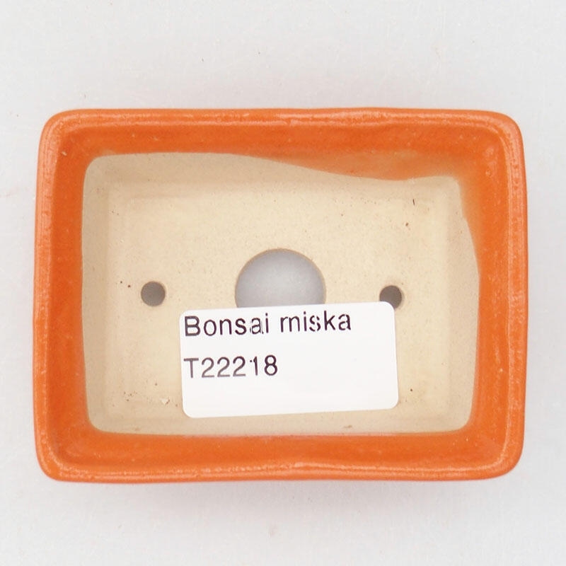 Ceramic bonsai bowl 8 x 6 x 2.5 cm, color orange