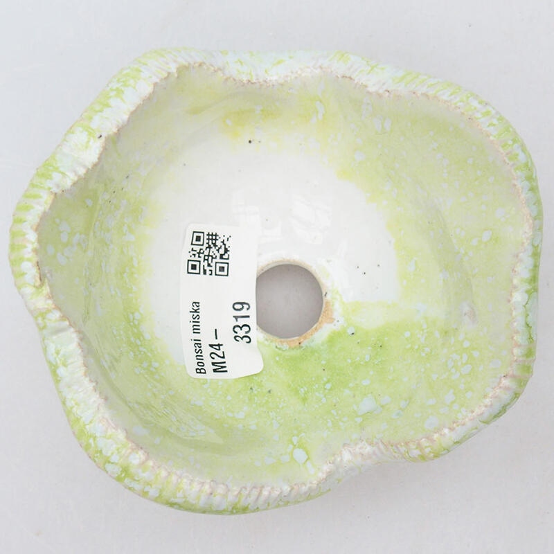 Ceramic shell 10 x 10 x 6 cm, white-green color
