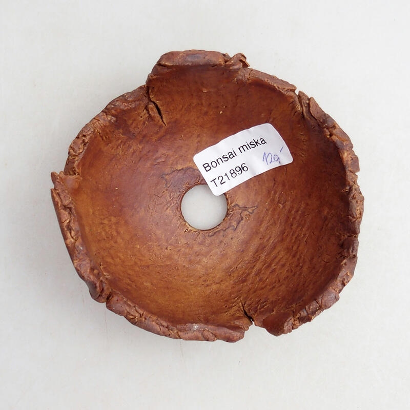 Ceramic Shell 10 x 9.5 x 6 cm, gray color