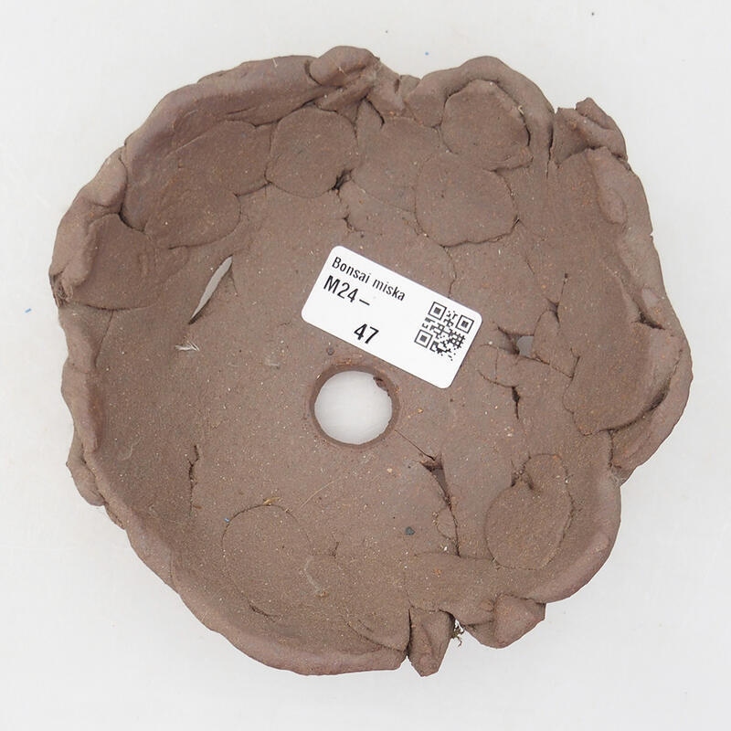 Ceramic shell 13 x 13 x 5 cm, color brown