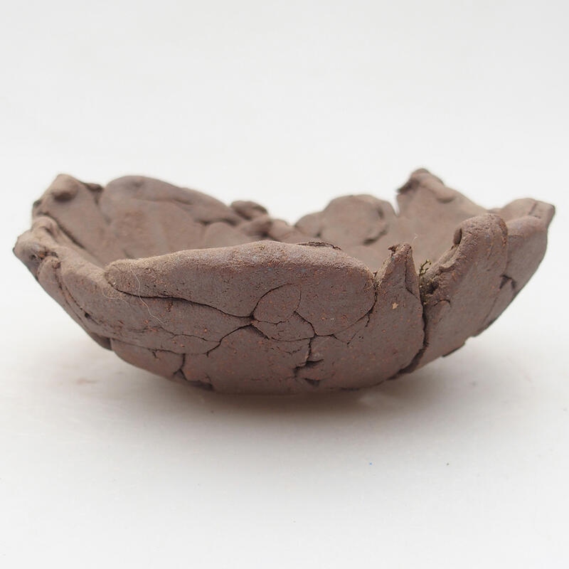 Ceramic shell 13 x 13 x 5 cm, color brown