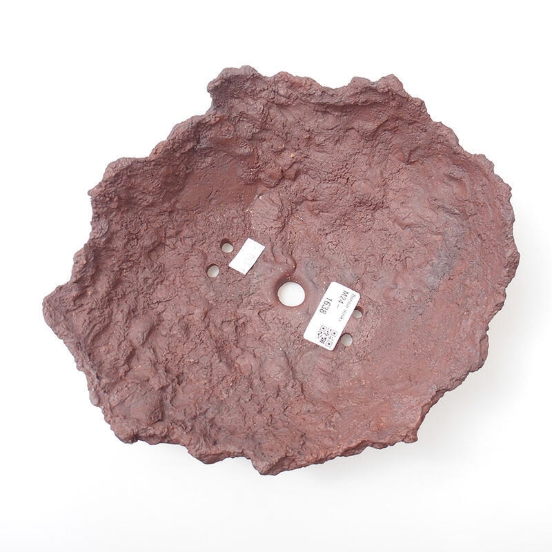 Ceramic shell 23 x 20 x 8 cm, color brown