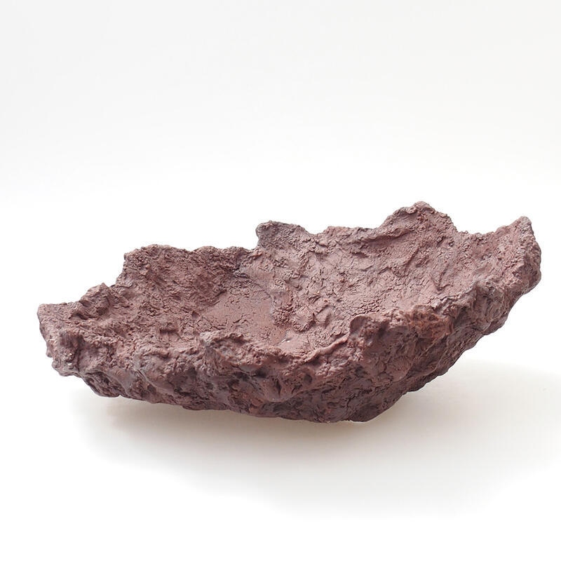 Ceramic shell 23 x 20 x 8 cm, color brown
