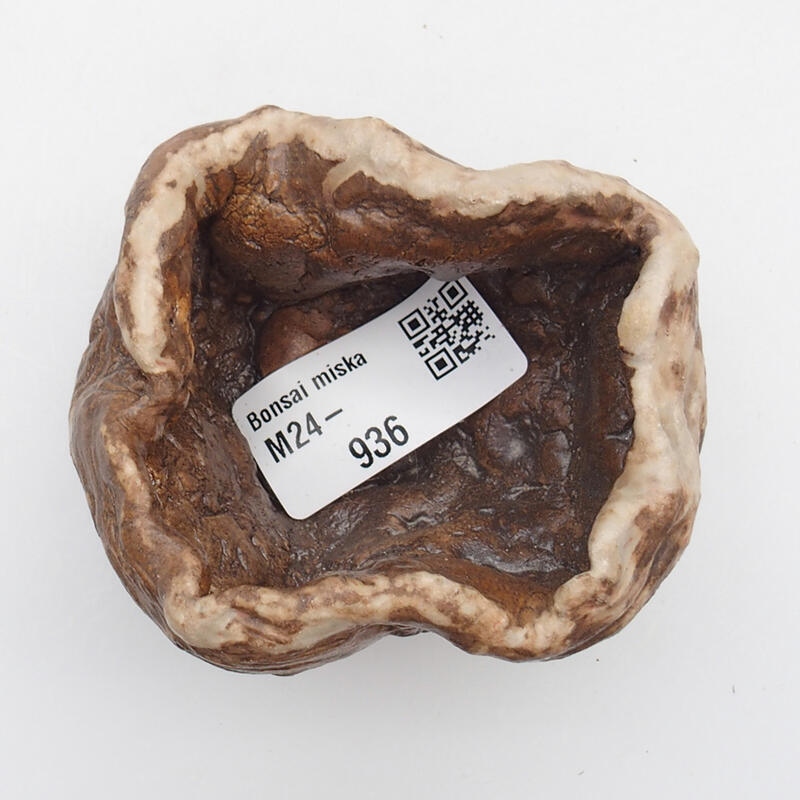 Ceramic shell 5 x 4 x 5 cm, color brown