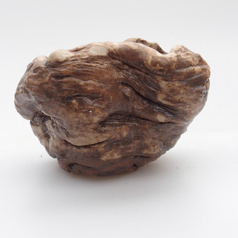 Ceramic shell 5 x 4 x 5 cm, color brown