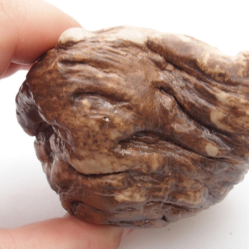 Ceramic shell 5 x 4 x 5 cm, color brown