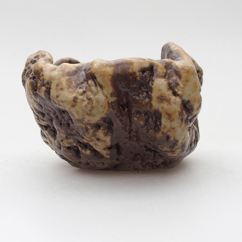 Ceramic shell 6 x 5 x 4 cm, color white-brown