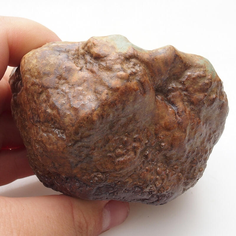 Ceramic shell 6 x 5 x 5.5 cm, green-brown color