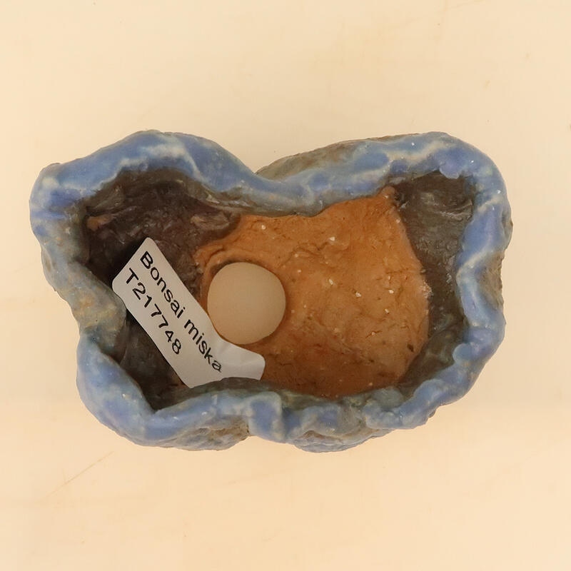Ceramic shell 6 x 6 x 9 cm, color blue