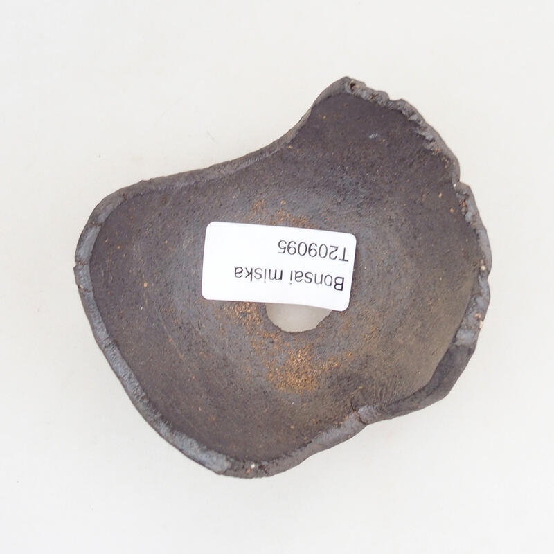 Ceramic shell 7.5 x 6.5 x 5.5 cm, brown color