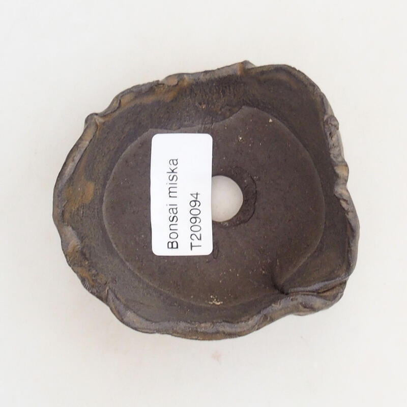 Ceramic shell 7.5 x 7 x 5 cm, color brown