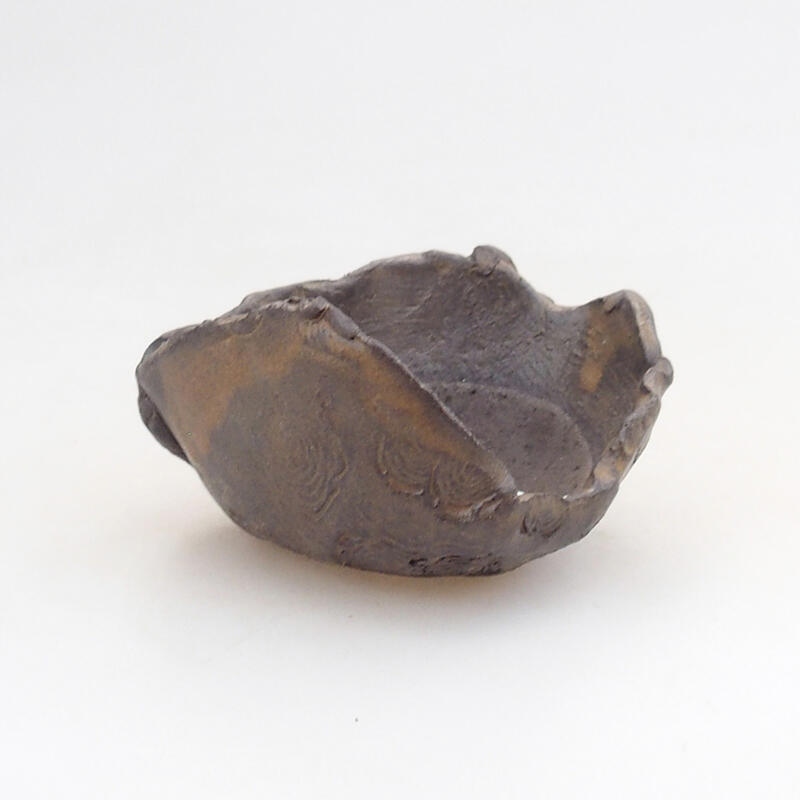 Ceramic shell 7.5 x 7 x 5 cm, color brown
