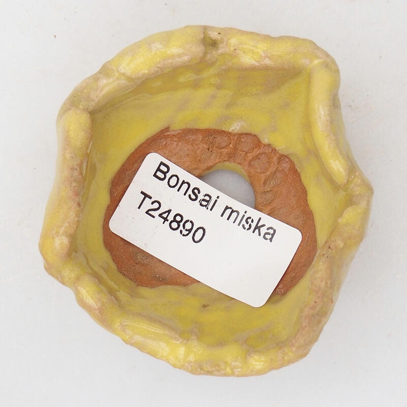 Ceramic Shell 7 x 6 x 3.5 cm, color yellow