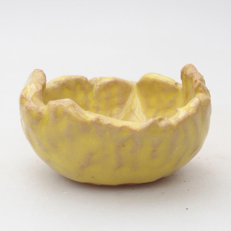 Ceramic Shell 7 x 6 x 3.5 cm, color yellow