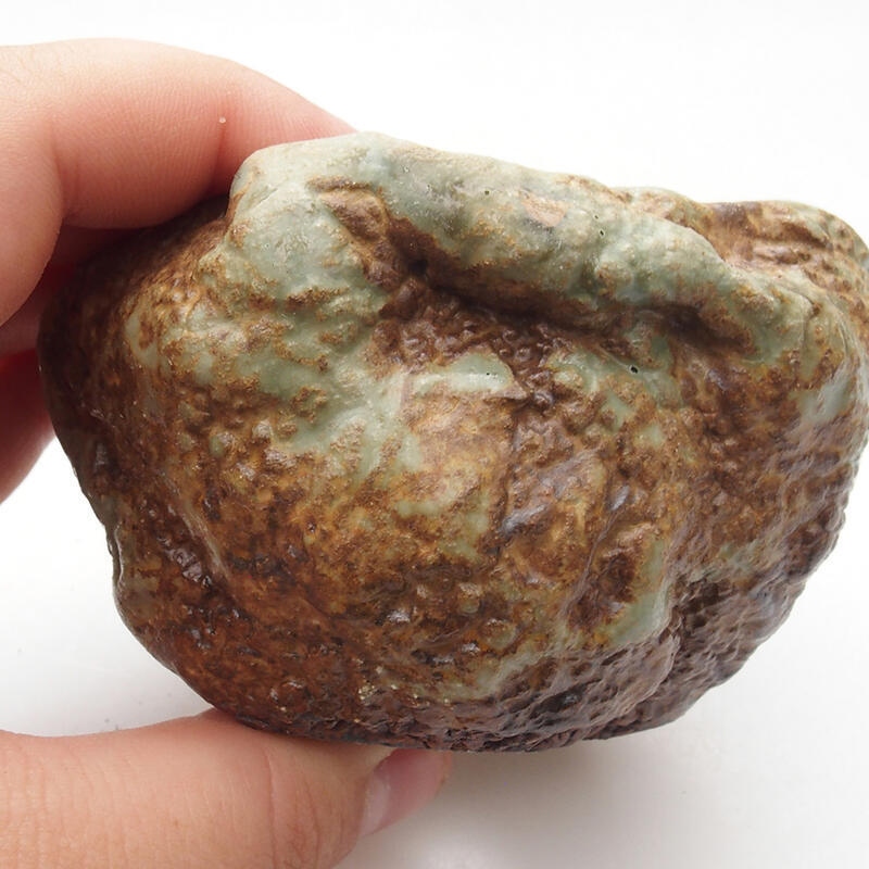 Ceramic Shell 7 x 6 x 6 cm, green-brown color
