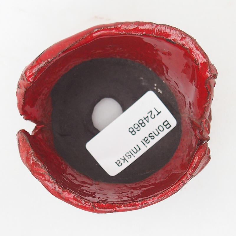 Ceramic shell 7 x 7 x 4.5 cm, color red
