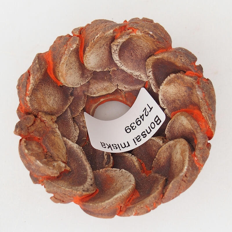 Ceramic shell 7 x 7 x 4 cm, color orange