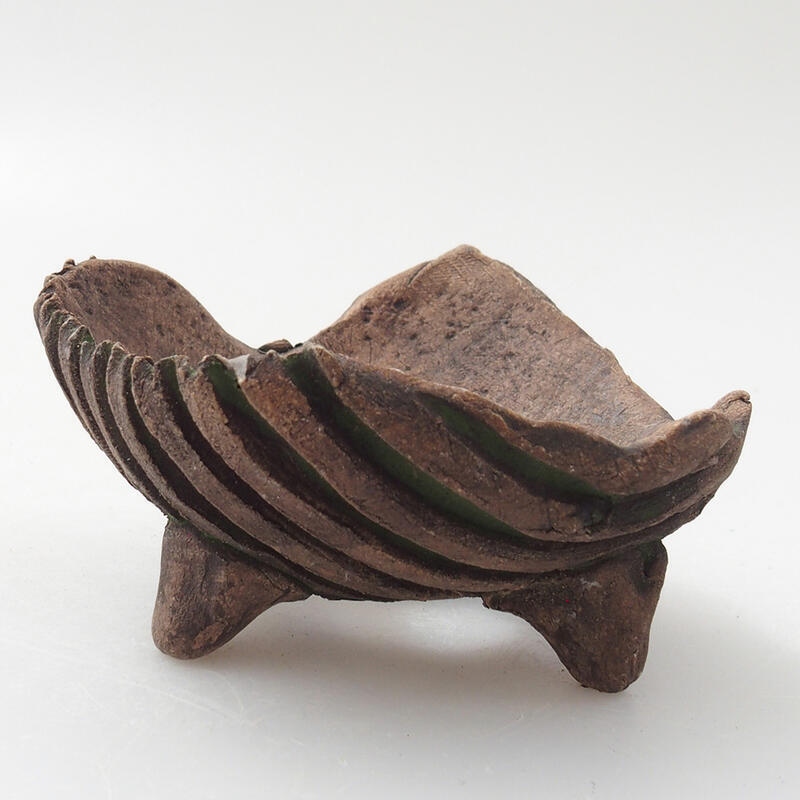Ceramic Shell 7 x 7 x 4 cm, color green