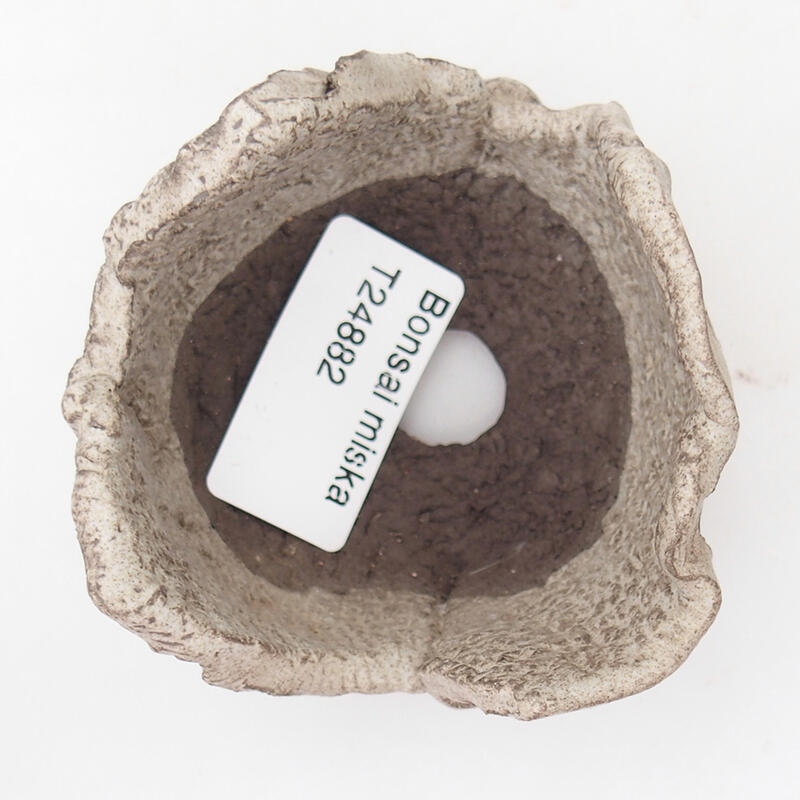 Ceramic shell 7 x 7 x 5 cm, color gray