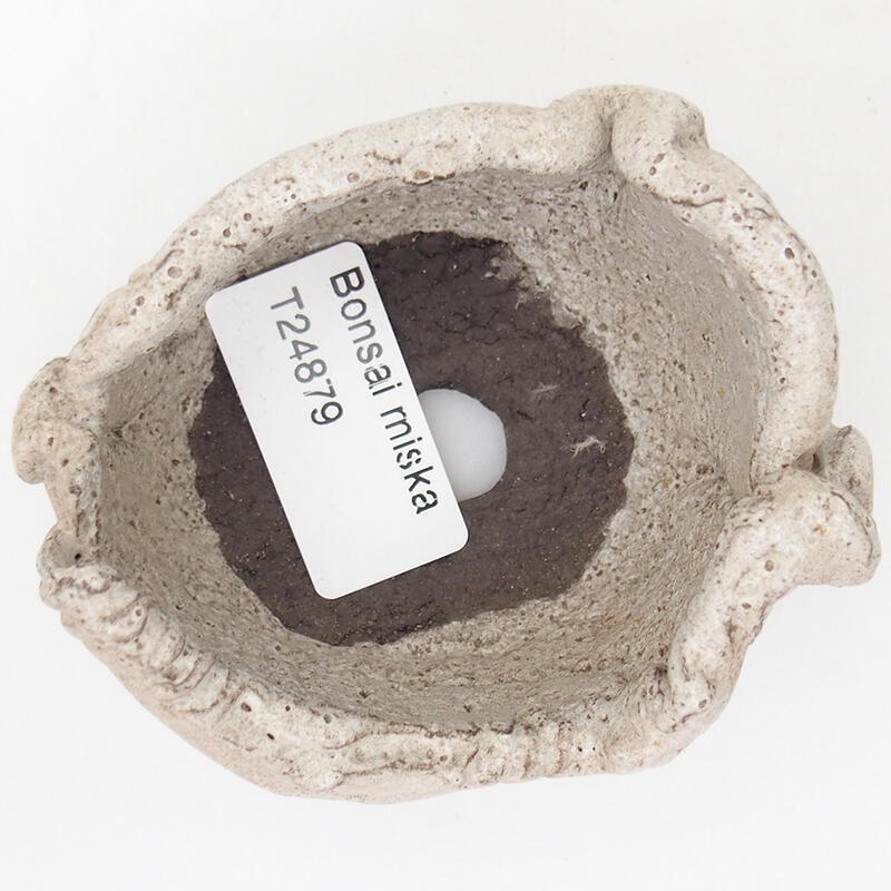 Ceramic shell 8.5 x 7 x 5 cm, gray color