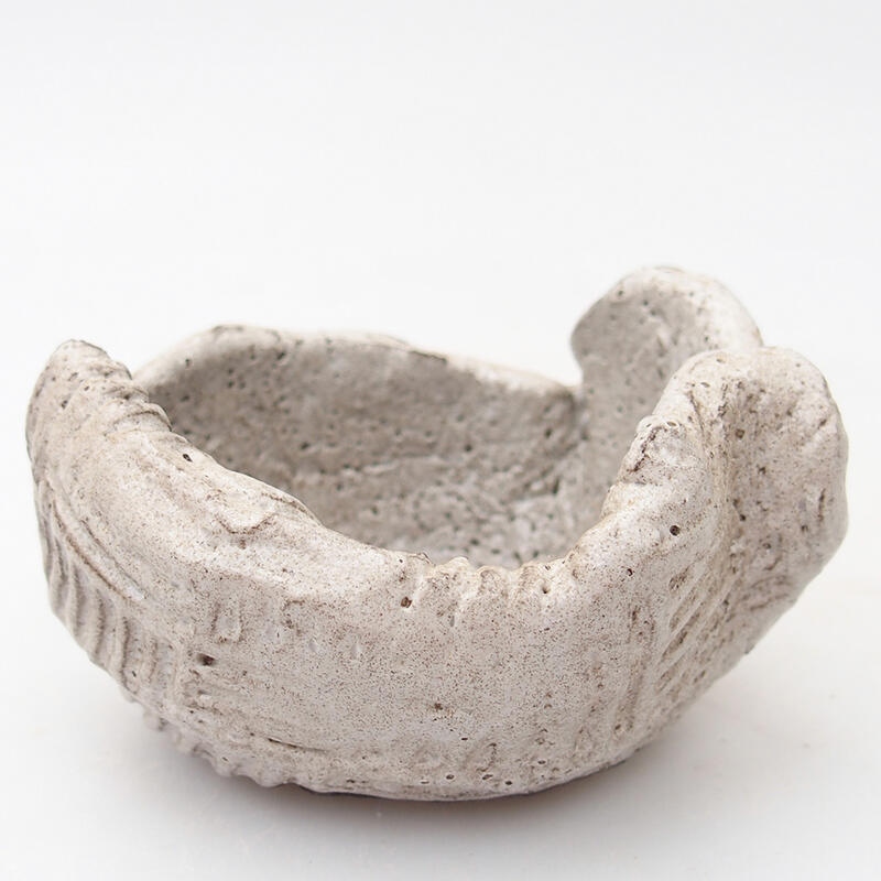 Ceramic shell 8.5 x 7 x 5 cm, gray color