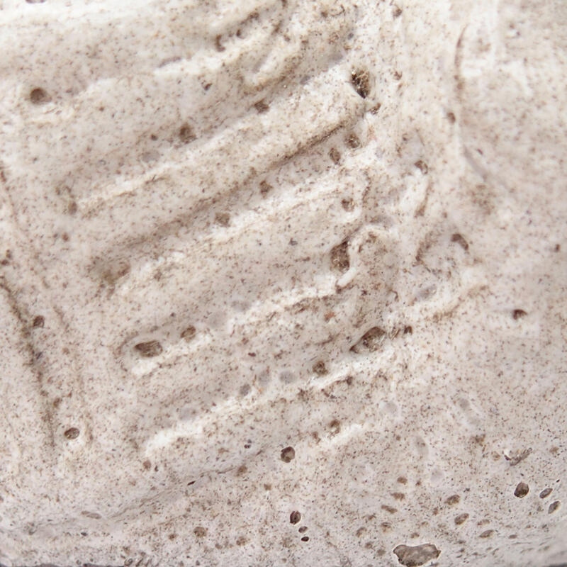 Ceramic shell 8.5 x 7 x 5 cm, gray color