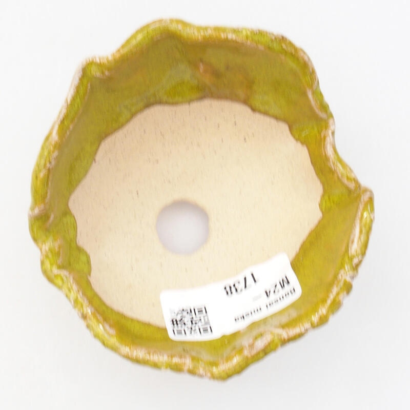 Ceramic shell 8.5 x 8.5 x 5.5 cm, color green