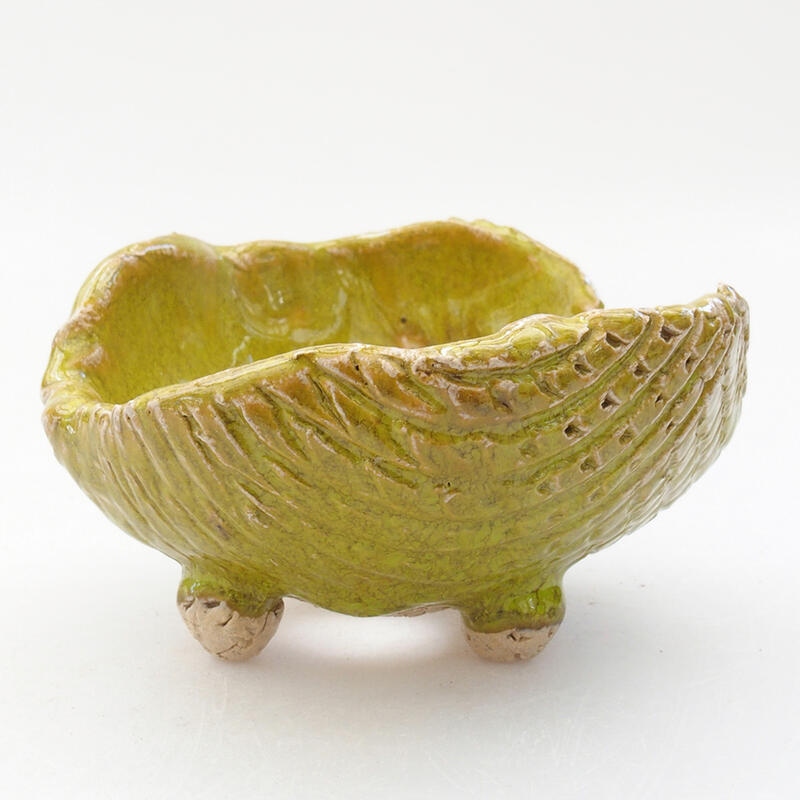 Ceramic shell 8.5 x 8.5 x 5.5 cm, color green