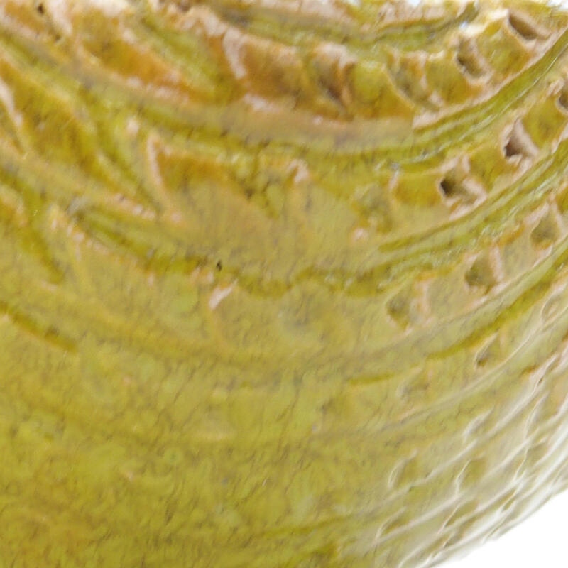 Ceramic shell 8.5 x 8.5 x 5.5 cm, color green
