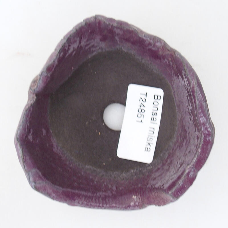 Ceramic shell 8.5 x 9 x 4 cm, color purple