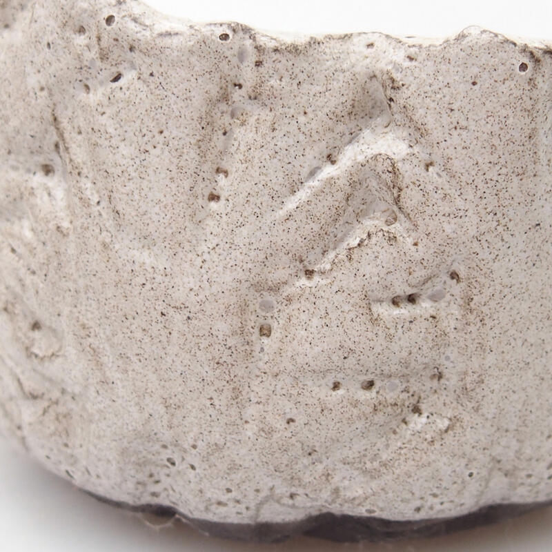 Ceramic shell 8 x 6.5 x 5 cm, gray color