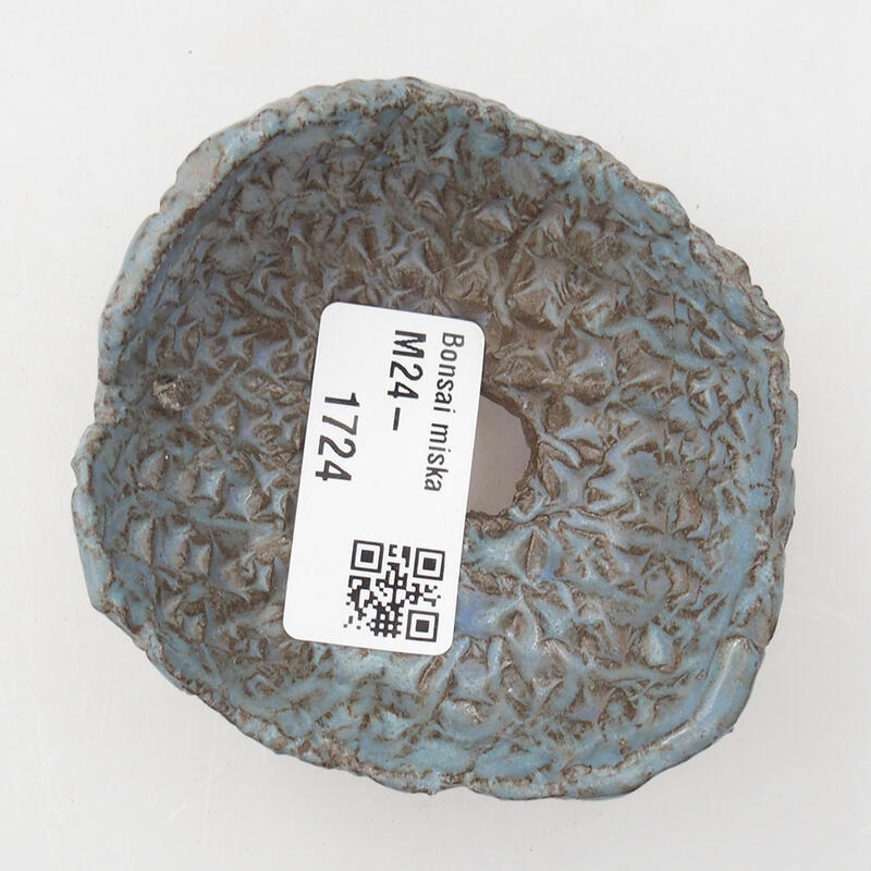 Ceramic Shell 8 x 7 x 4 cm, color blue