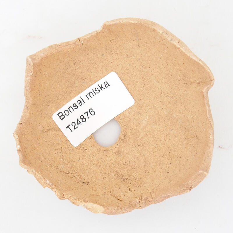 Ceramic shell 8 x 8.5 x 4.5 cm, color beige