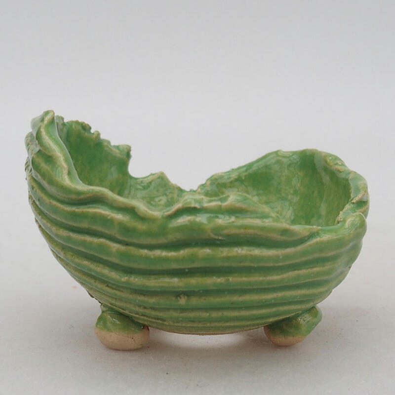 Ceramic Shell 8 x 8.5 x 6 cm, color green
