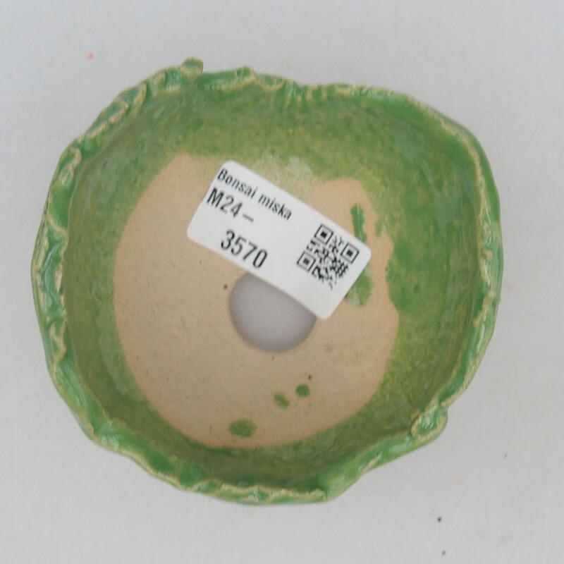 Ceramic Shell 8 x 8.5 x 6 cm, color green