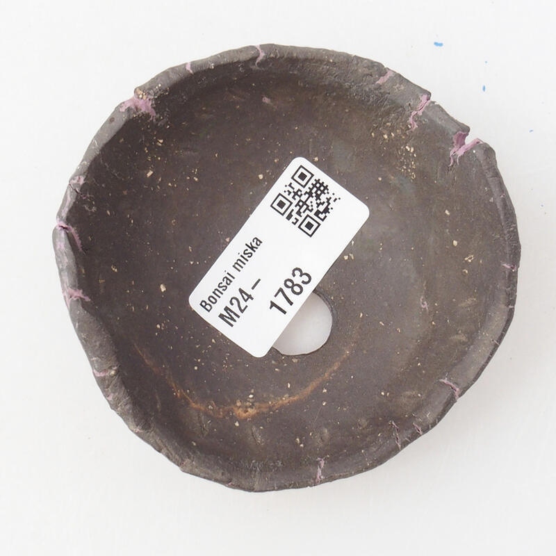 Ceramic shell 8 x 8 x 4 cm, color purple