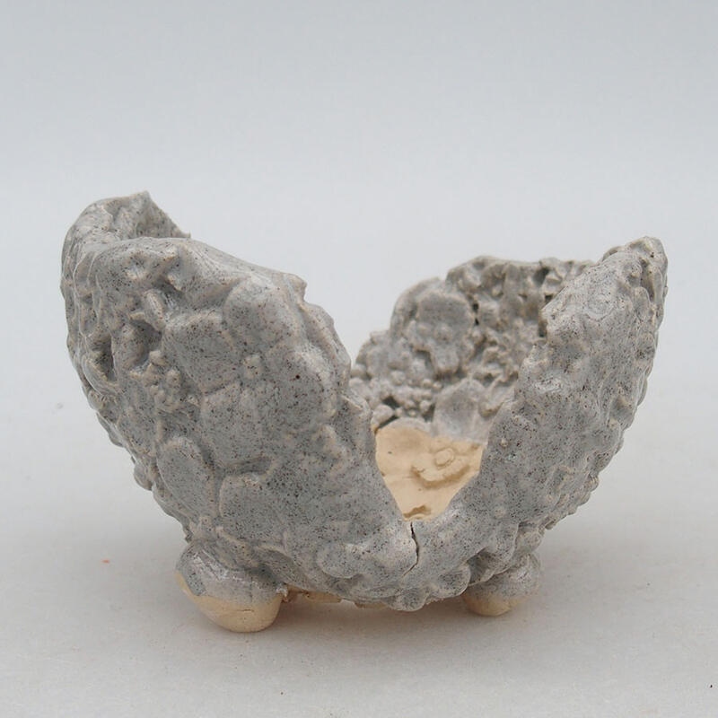 Ceramic shell 9.5 x 8 x 7 cm, color gray