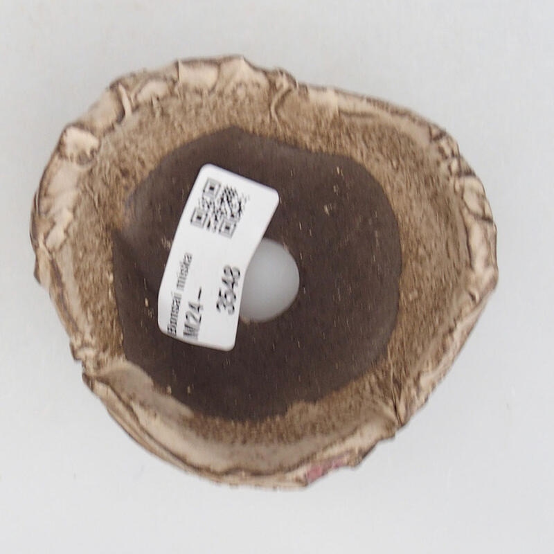 Ceramic Shell 9 x 8.5 x 5.5 cm, color beige