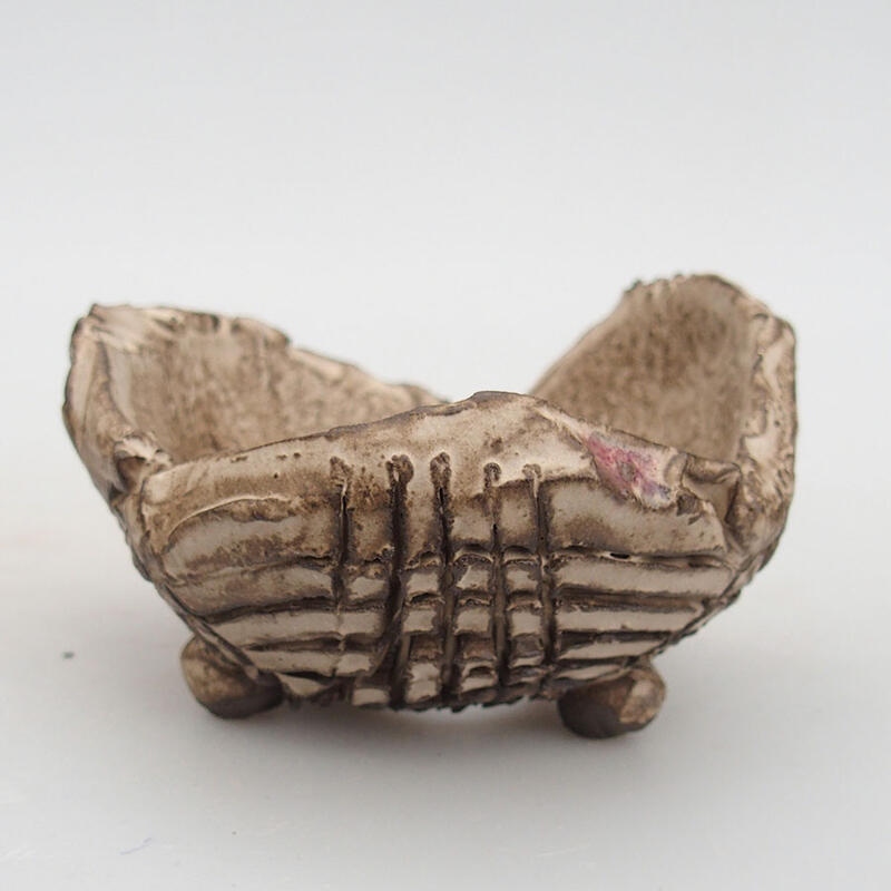 Ceramic Shell 9 x 8.5 x 5.5 cm, color beige