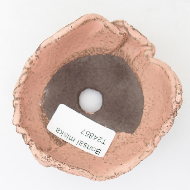 Ceramic shell 9 x 8 x 5 cm, color pink