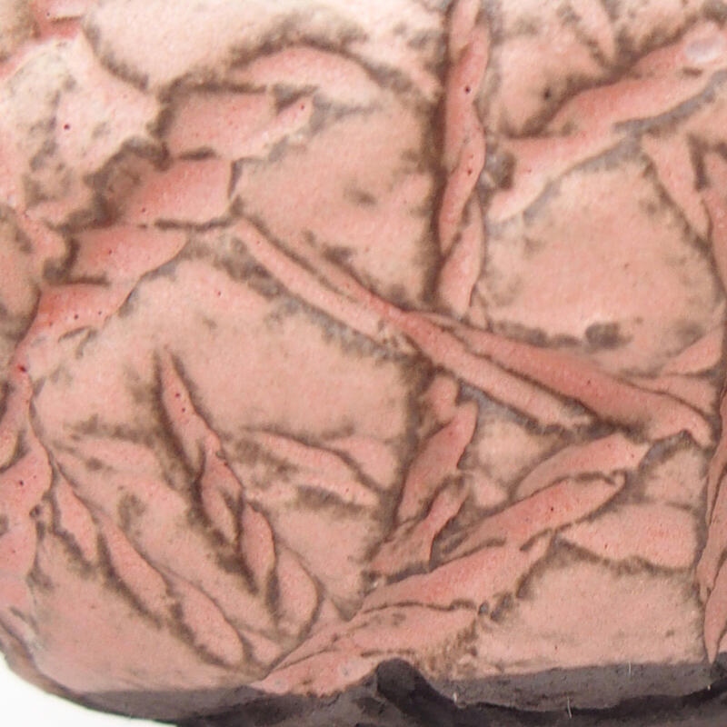 Ceramic shell 9 x 8 x 5 cm, color pink