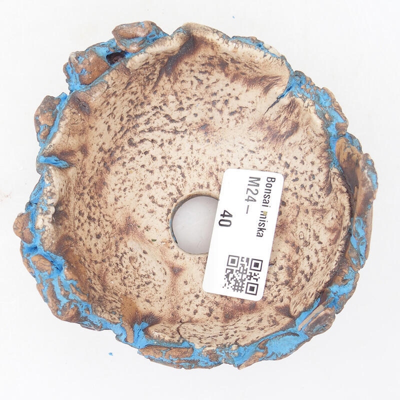 Ceramic Shell 9 x 8 x 6 cm, color blue